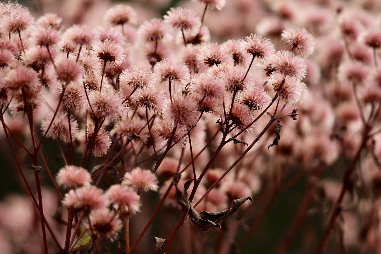 提速啦实名账号:西藏代理记账兼职平台